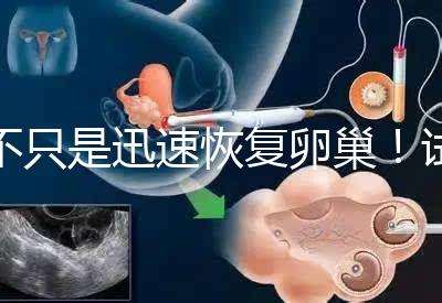 不只是迅速恢復卵巢！試管取卵后吃蘿卜的3大好處匯總