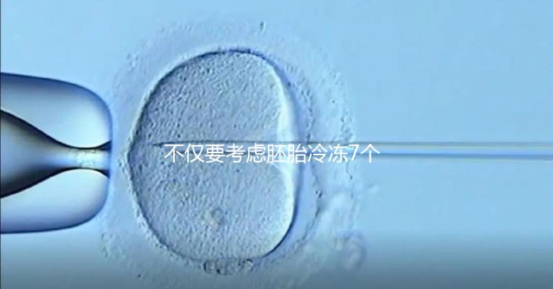不僅要考慮胚胎冷凍7個月是否可以移植，還要了解受孕率的影響