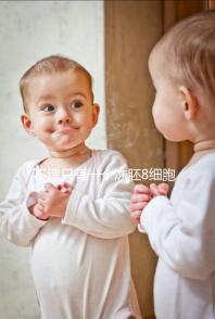 不造只有一個(gè)凍胚8細(xì)胞二級(jí)成功率高不高進(jìn),能否著床來瞅