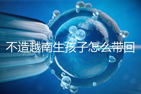 不造越南生孩子怎么帶回國戶口？流程和資料都有