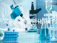 一文講完輔助孵化有什么弊端及優勢，有沒有用看專家咋說