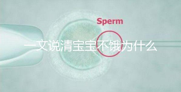 一文說清寶寶不餓為什么瘋狂找奶，找準原因才好解決