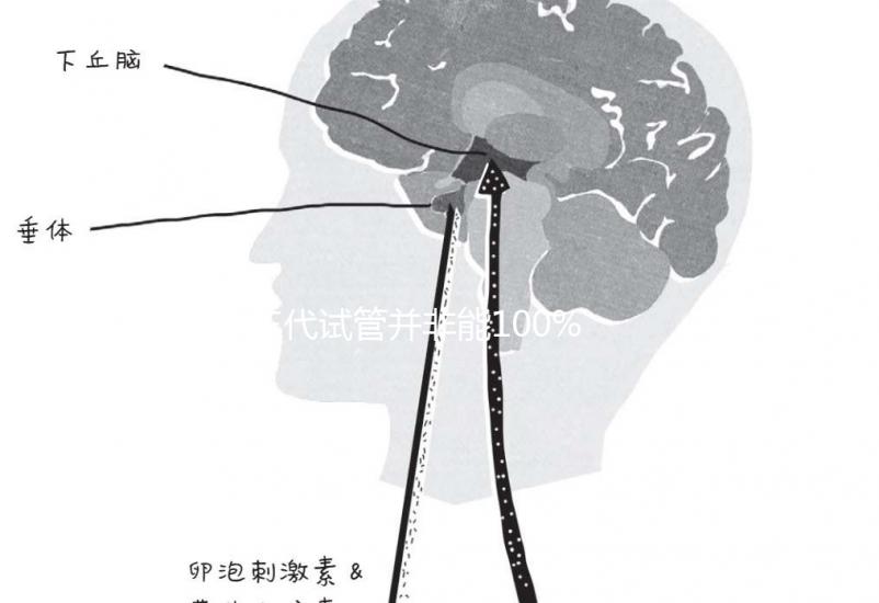 三代試管并非能100%杜絕甲亢！成功率大不大看所選醫院