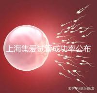 上海集愛試管成功率公布，排名輕松進入全國前二十！
