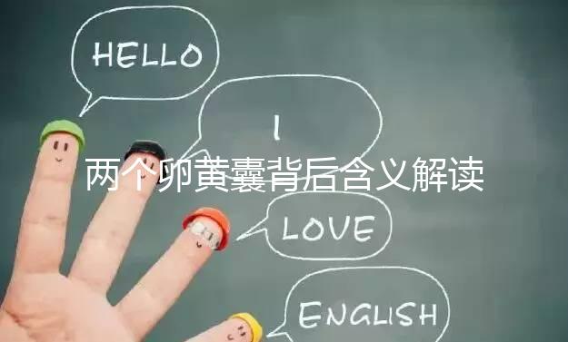 兩個(gè)卵黃囊背后含義解讀:雙胞胎、龍鳳胎都有可能!