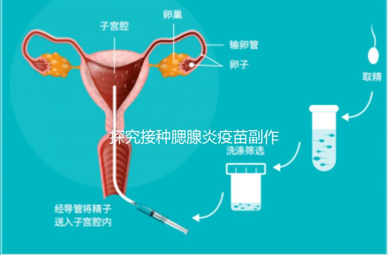 探究接種腮腺炎疫苗副作用，出現發燒用這3招應對自如