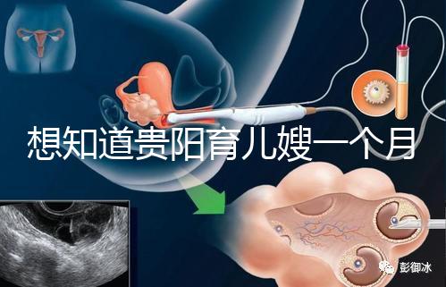 想知道貴陽育兒嫂一個月戳多少錢，云巖2萬夠不夠