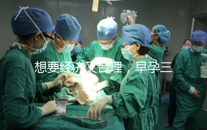 想要經(jīng)濟(jì)又合理,早孕三項(xiàng)檢查保持這個(gè)頻率就好!