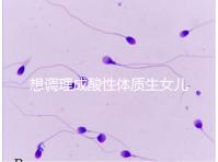 想調(diào)理成酸性體質(zhì)生女兒看過來，這3大食譜科學(xué)又安全