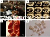 懷孕時剛著床的6個反應,同房后這個時候觀察身體最準