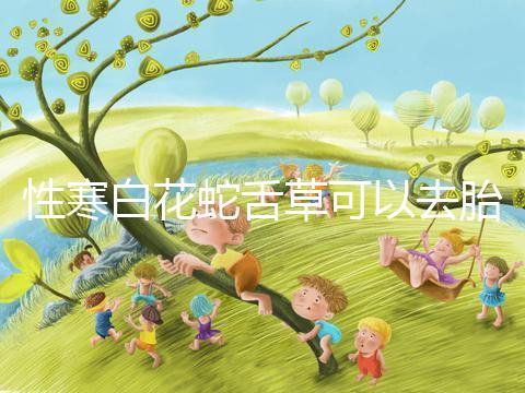 性寒白花蛇舌草可以去胎毒別亂吃！小心流產(chǎn)找上門