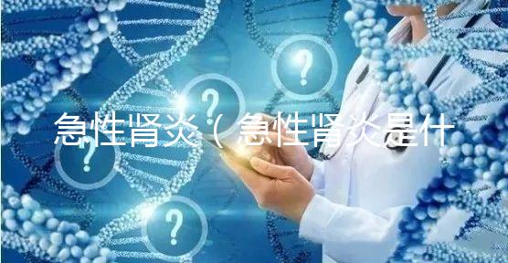 急性腎炎(急性腎炎是什么癥狀表現)