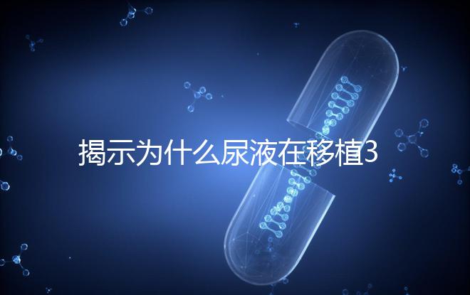 揭示為什么尿液在移植30天后需要稀釋才能測量，正常情況下不一目了然