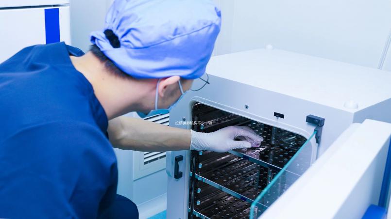 拉薩供卵機構(gòu)不少，做一次三代試管生男孩費用沒你想的高