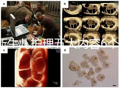 新生兒護理五大內(nèi)容6個要點整理,嬰兒養(yǎng)育照護干貨來了