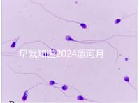 早就知道2024漯河月子中心的價(jià)格表了!媽咪悅只需要這個(gè)數(shù)字