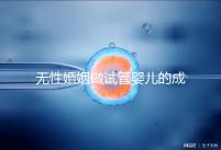 無性婚姻做試管嬰兒的成功率2024，一文說清有沒有用