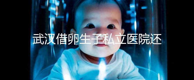 武漢借卵生子私立醫院還得看這幾家，協和、同濟醫院上榜