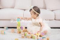 武漢江岸區疫苗本著急補辦快進來，證件齊全到手要不了多久