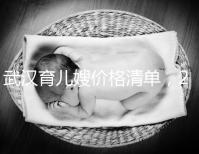 武漢育兒嫂價(jià)格清單，2024年橋口等正規(guī)機(jī)構(gòu)不要錯(cuò)過