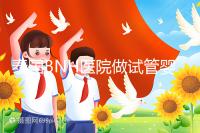 泰國(guó)BNH醫(yī)院做試管嬰兒到底怎么樣？包成功是真是假？