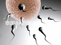 泰國iBABY愛寶貝：中介不輕信，甄別試管嬰兒真假宣傳