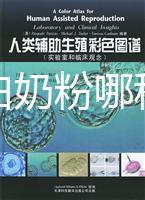 水解蛋白奶粉哪種好？口感和消化分析這個品牌出彩
