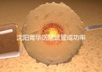 沈陽(yáng)菁華醫(yī)院試管成功率高嗎?教你4招提升胚胎著床機(jī)會(huì)