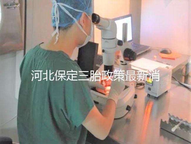 河北保定三胎政策最新消息2024,不造補貼怎么申請看過來
