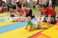 溪黃草的功效(溪黃草的功效與作用)