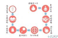 深圳最新獨生子女政策已出爐,羅湖、南山區補貼金均有提高