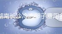 湖南長沙冷凍卵子費用多少？中信湘雅盧光琇教授這樣說...