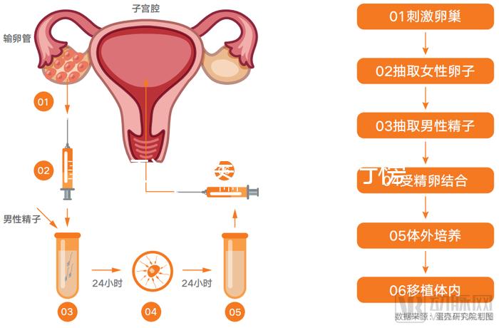 湛江試管醫(yī)院前十排行榜，久和醫(yī)院vs廣醫(yī)附院誰好一覽了然