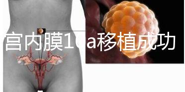 子宮內膜10a移植成功率高別還不知道，放入鮮胚厚度剛剛好