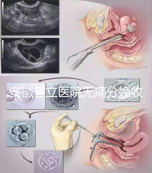 安徽省立醫院無痛分娩收費標準,過來人經歷告訴你怎么樣