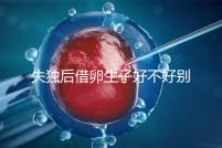 失獨(dú)后借卵生子好不好別還不造,供卵or領(lǐng)養(yǎng)過(guò)來(lái)人感受更深