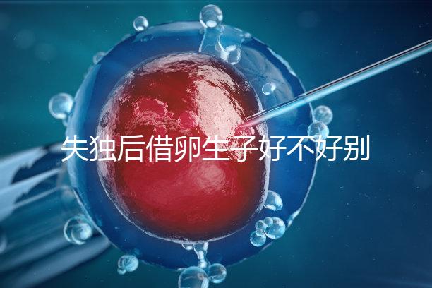 失獨(dú)后借卵生子好不好別還不造,供卵or領(lǐng)養(yǎng)過(guò)來(lái)人感受更深