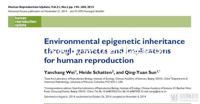 如何收取武漢同濟醫(yī)院的養(yǎng)囊費?查看最新試管費用明細估算?