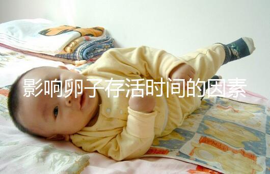 影響卵子存活時(shí)間的因素剖析：年齡起主導(dǎo)作用