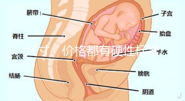 尺寸、價格都有硬性標準，選擇雙胞胎嬰兒床決不可大意！