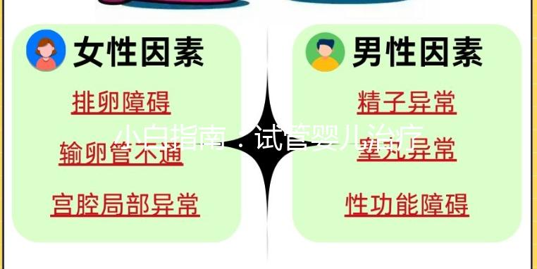 小白指南：試管嬰兒治療五步，檢查促排 胚胎培養