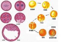 小伙篡改了上百名同學(xué)中考志愿,這些預(yù)防知識(shí)多么重要!