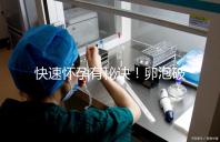 快速懷孕有秘訣!卵泡破裂后多久同房是關(guān)鍵