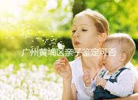 廣州黃埔區(qū)親子鑒定可否直接上戶口,看完2024政策就明了