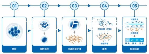 廣西彩禮八萬(wàn)八算不算多看情況,南寧市民:拋掉回禮真不高