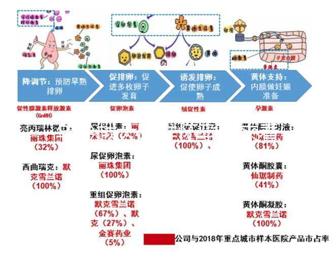 年齡越大越難懷孕！來看看44歲試管嬰兒的成功率有多少？