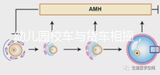 幼兒園校車與貨車相撞，乘坐校車要告訴寶寶注意事項！