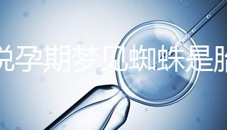 都說(shuō)孕期夢(mèng)見(jiàn)蜘蛛是胎夢(mèng)，咬人、爬身上意思都不同快收藏