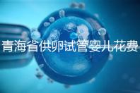 青海省供卵試管嬰兒花費明細表一覽,一次成功助孕費用最低
