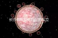 長沙有哪些做的好的私立試管嬰兒醫院呢？